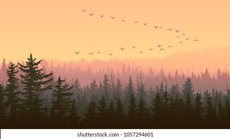 Horizontal illustration foggy coniferous forest with flock of birds at sunset.