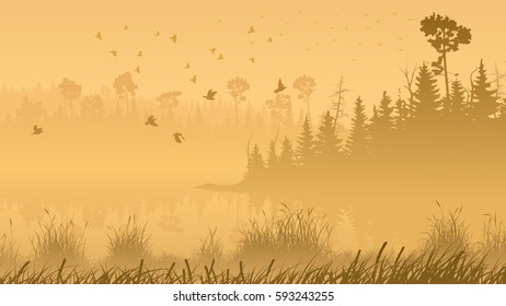 Horizontal illustration misty coniferous forest with lake and grass on shore.