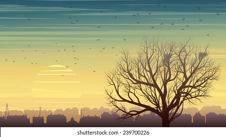 Horizontal illustration of old historic European city and lonely tree without leaves with nest and birds at sunset.