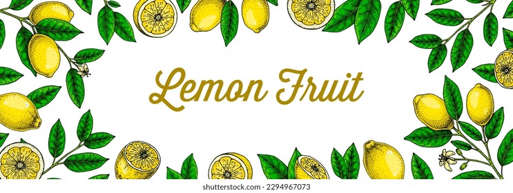 Fondo horizontal de limón. Ilustración vectorial de color dibujada a mano en el estilo de esbozo. Diseño para embalaje, invitación, tarjetas de felicitación