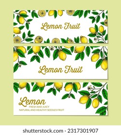 Horizontal lemon background. Hand drawn colorful vector illustration in sketch stile. Design for packaging, invitation, greeting cards