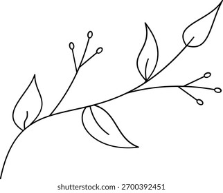 Elemento de arte de linha horizontal de um galho com vários ramos e folhas simples, componente de design isolado