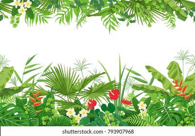 Horizontal line floral seamless pattern made with colorful leaves and flowers of tropical plants on white background.  Tropic rain forest foliage border. Vector flat illustration.