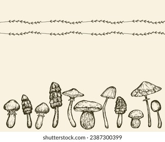 Horizontal line of Mushrooms with delicate border. Hand-drawn forest Harvest. Mushrooms sketch on beige background. Vector illustration.