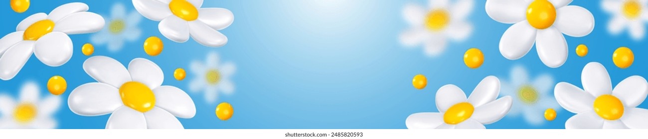 Horizontal long banner with white daisy flowers with yellow cores, on the blue background with place for text. Vector illustration