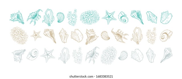 Horizontal Marine line art vector wallpaper background. Wall art design with icons of sea shells, anchor and mollusks. Seashell and corals artistic line art.