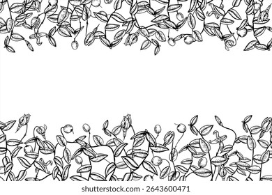 Horizontal monochrome vector frame with cranberry branches with blank space for text. Wild berries etching drawing for food packaging, cosmetic labels, holiday cards and organic product design