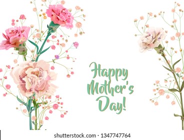 Horizontal Mother's Day, Victory Day card with carnation: red, pink, flowers, twigs gypsophile, white background. Templates for design, vintage botanical illustration in watercolor style, vector