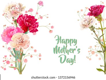 Horizontal Mother's Day, Victory Day card with carnation: white, red, pink, flowers, twig gypsophile, white background. Templates for design, vintage botanical illustration in watercolor style, vector