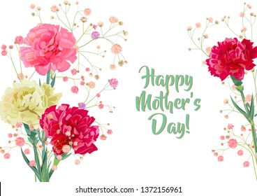Horizontal Mother's Day, Victory Day card with carnation: white, red, pink, flowers, twig gypsophile, white background. Templates for design, vintage botanical illustration in watercolor style, vector
