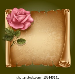 Horizontal old scroll paper with beautiful rose and space for your text