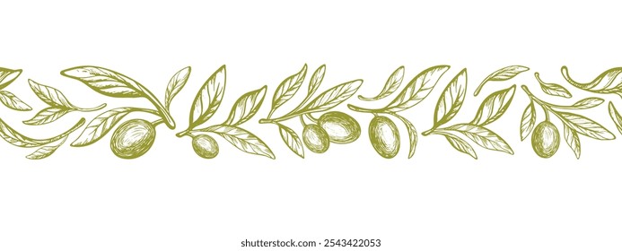 Horizontal olive branch, green fruit. Fresh oil. Vector hand drawn pattern. Mediterranean border on white background. Vintage packaging design for fabric, kitchen textile, packaging prints, frames