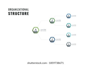 Horizontal organizational structure of the company template. Multicolor hexagonal elements with person symbols, names and job positions on a white background. Vector business hierarchy. Eps 10