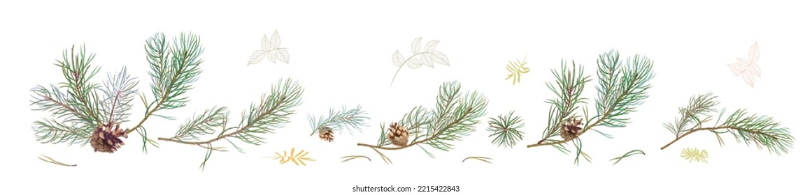 Horizontal panoramic border with pine branches and cones, needles on white background. Digital hand draw in watercolor style. Christmas tree, decorative botanical illustration for design, vector