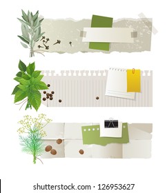 Horizontal paper banners with herb bunches