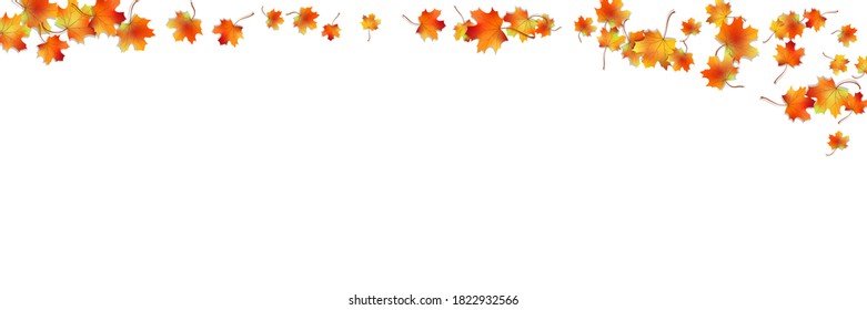 Patrón horizontal colorido de arce brillante follaje otoño con sombra aislada en blanco. Símbolo de diseño gráfico de otoño. Hojas secas de otoño rojas amarillas. Fondo estacional otoñal. Vector