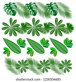 Horizontal patterns. Leaves of tropical plants. Isolated items. Monstera, ficus, palm tree Schefflera