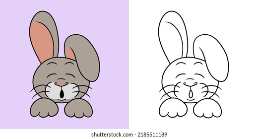 Horizontal picture, Cute Funny rabbit with pink ears sleeping, vector illustration in cartoon style for coloring book