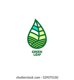 Horizontal pointed green leaf logo template, vector illustration isolated on white background. Green leaf horizontal logotype template with text below, environment, nature, growth, development concept