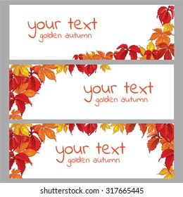 Horizontal postcard on the theme of autumn. The leaves of parthenocissus. Your text. Vector.
