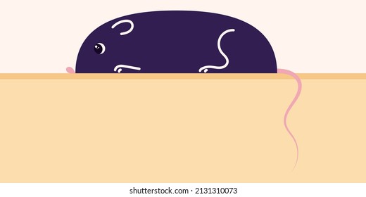 Horizontal poster with a mouse, a witchs familiar. Vector illustration
