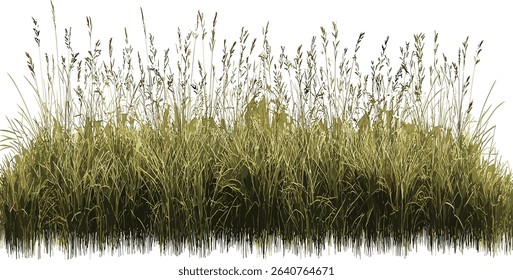 Horizontal row vector meadow grass prairie nature file, green landscape, summer field, fresh grass, wildflowers, open space, outdoors, peaceful environment, rural scene