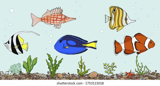 Horizontal Seamless Background. Collection of isolated objects, set of sea fish. Vector illustration