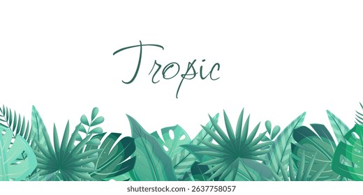 Horizontal seamless banner with tropical leaves on a white background. Palm leaves, bananas, monstera, tamarind, calathea. Vector illustrations for posters, banners, flyers and covers
