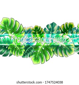 Horizontal seamless border of bright green leaves of monstera, tropical print on a white background. Great for decorating fabrics, textiles, gift wrapping, printed matter, interiors, advertising.