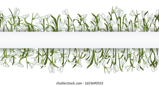Frontera horizontal sin fisuras de flores dibujadas a mano, hojas verdes sobre blanco. Flores de primavera nevadas perfectas para cubrir, textil, tela, papel pintado, envoltura, tarjeta, diseño web. Vector