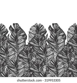 horizontal seamless border with hand drawn feathers