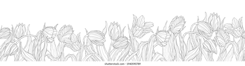 Horizontal seamless border of  line art tulips flowers. Vector background, pattern, print for packaging paper, postcards, textiles. Frame with tulips with leaves. Garland of spring flowers.