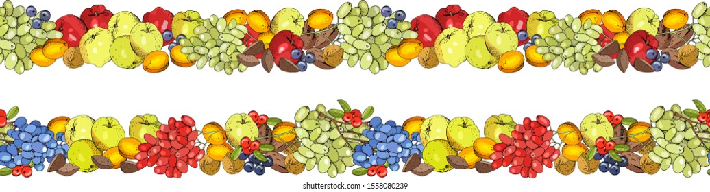 Horizontal seamless borders with fruits. Vector illustration. Background design for juice, tea, natural cosmetics, bakery, farmers  market,grocery,health care products.  Best for packaging design.