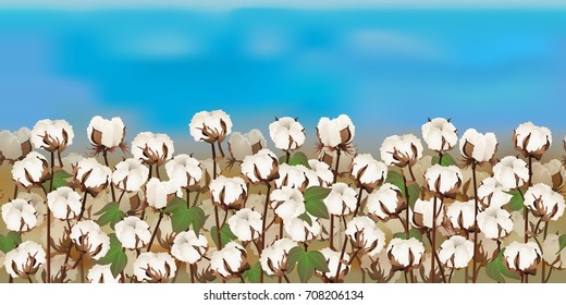 Horizontal seamless cotton field with the blue sky / Realistic vector cotton field in the harvesting time
