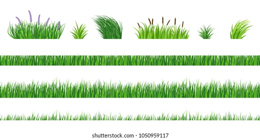 Horizontal seamless elements of green grass of different degree of germination. Cut and fresh vegetation. Bushes with flowers and reeds.