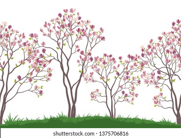 Horizontal Seamless Landscape, Spring Magnolia Trees with Pink Flowers and Green Leaves on Green Grass. Vector