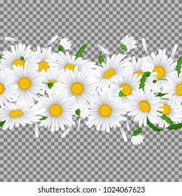 Horizontal Seamless pattern with Chamomile