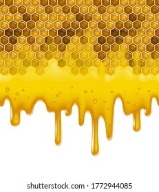 Horizontal seamless pattern full color background of honey comb with flowing down transparent honey isolated on a white background. Vector Illustration 