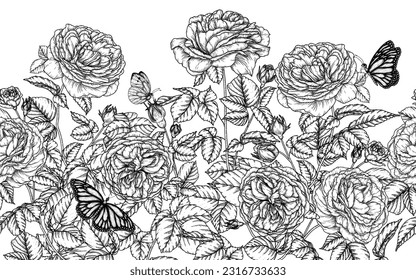 Horizontal seamless pattern garden of tea roses and butterflies in engraving style