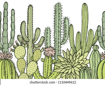 Horizontal seamless pattern with illustrations of wild cactuses. Cactus floral mexican, drawing plant vector exotic