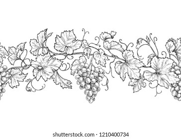 Horizontal seamless pattern made with monochrome grape branches with leaves and berries. Hand drawn black and white line border with grapes in row. Vector sketch.