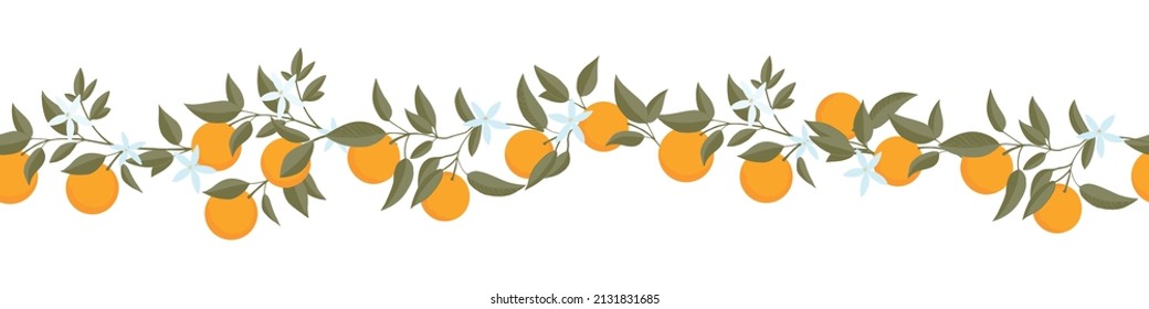 Horizontal Seamless pattern of Oranges branch. Floral print. Sketch Exotic tropical citrus fresh fruit, hand drawn tangerine with leaves and flowers. Vector cartoon minimalistic style illustration. 