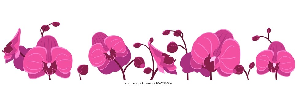 Horizontal seamless pattern with orchid flowers. Design for frames or borders. Botanical vector illustration in flat style on white background