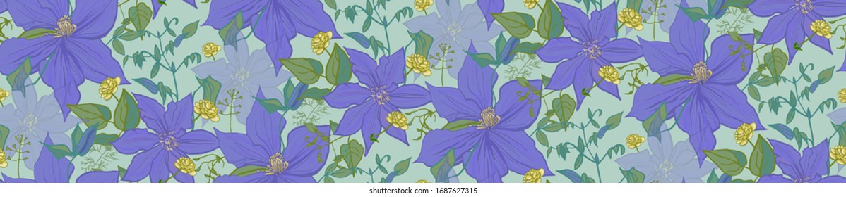 horizontal seamless pattern with purple flowers clematis in delicate colors