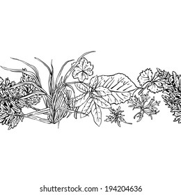 Horizontal seamless pattern various common herbs and weeds