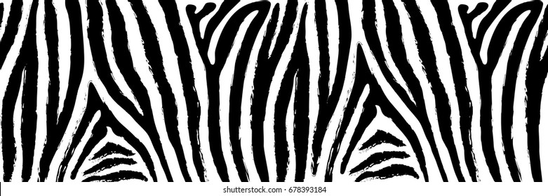 Horizontal seamless pattern of zebra strips. Drawing by brush.