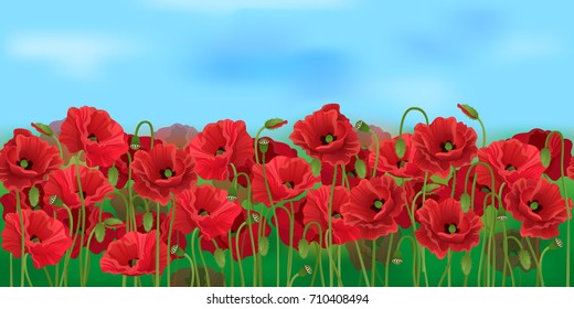 Horizontal seamless poppy field with the blue sky / Realistic vector poppy field in the harvesting time
