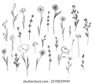 Horizontal seamless set decorated blooming flowers, leaves on white. Spring floral backdrop. Line vector illustration botanical design field wild flowers. Camomile, bluebells, poppy, medicine herbs