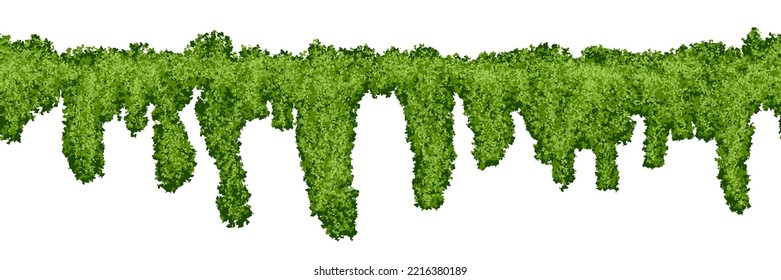 Horizontal seamless swamp moss pattern on white background. Top of fence or wall with climbing plants. Bush line. Forest lichen. Vector illustration