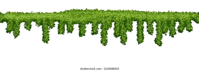 Horizontal seamless swamp moss texture on white background. Top of fence or wall with climbing plants. Bush line. Forest lichen. Vector illustration